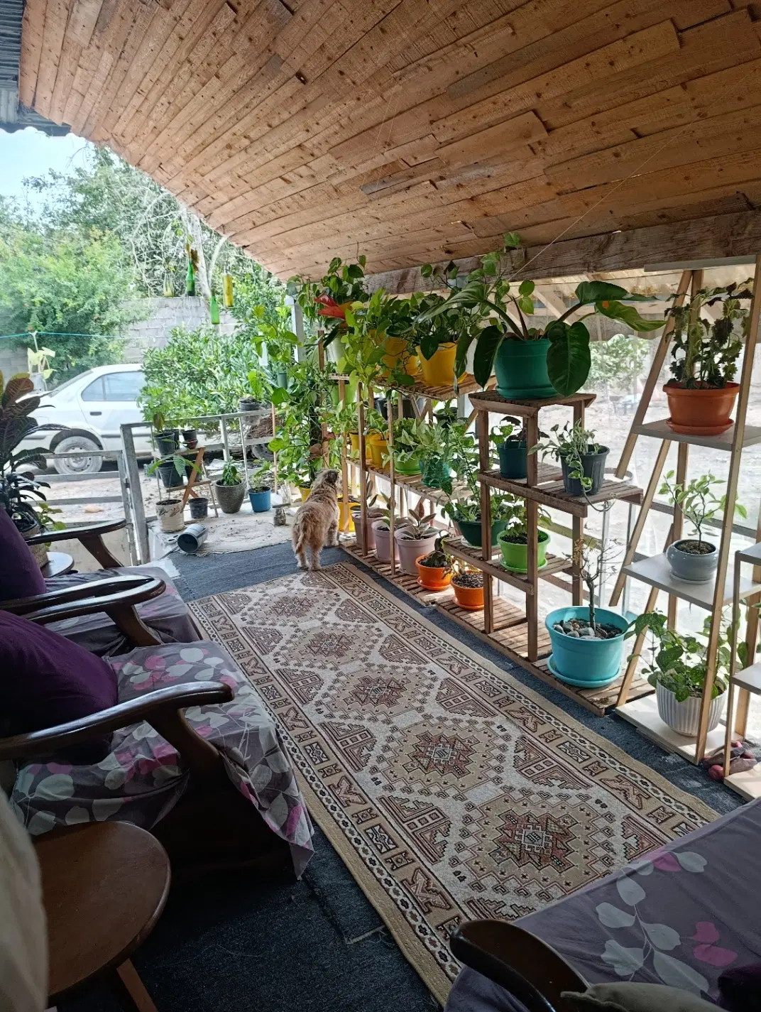 تصویر املاک 143720