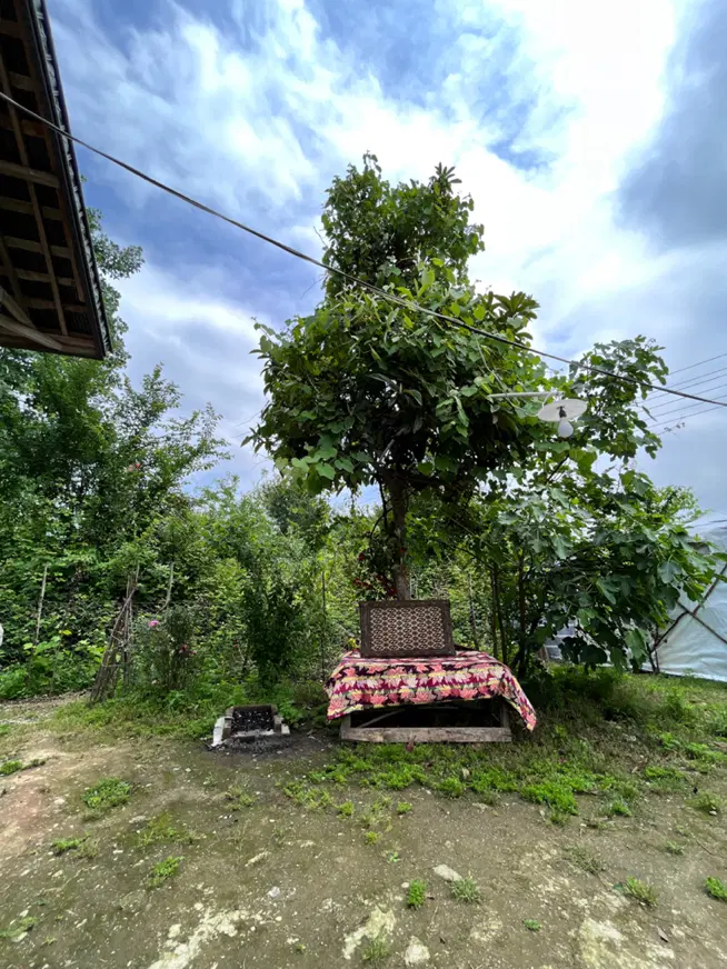 تصویر املاک 120279