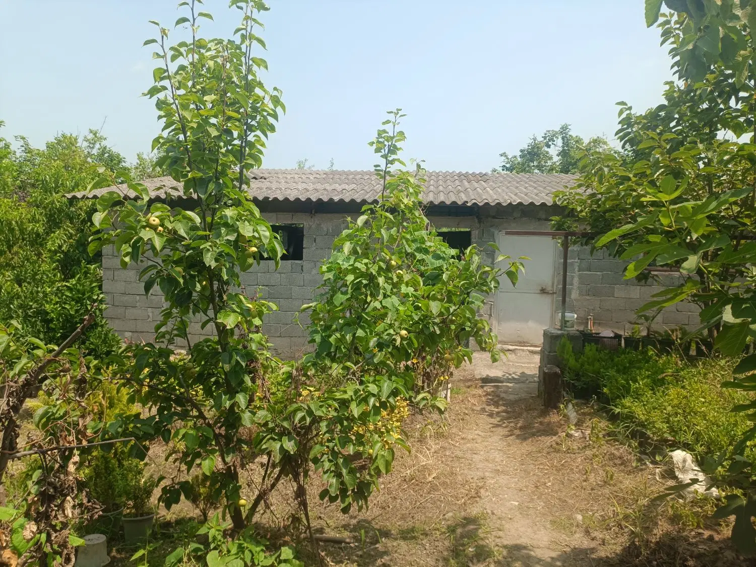 تصویر املاک 85844