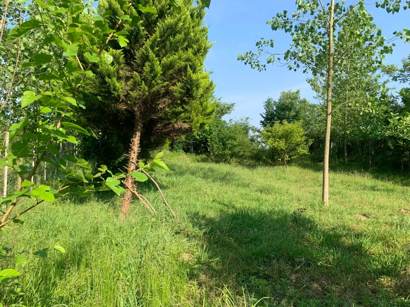 تصویر املاک 43722