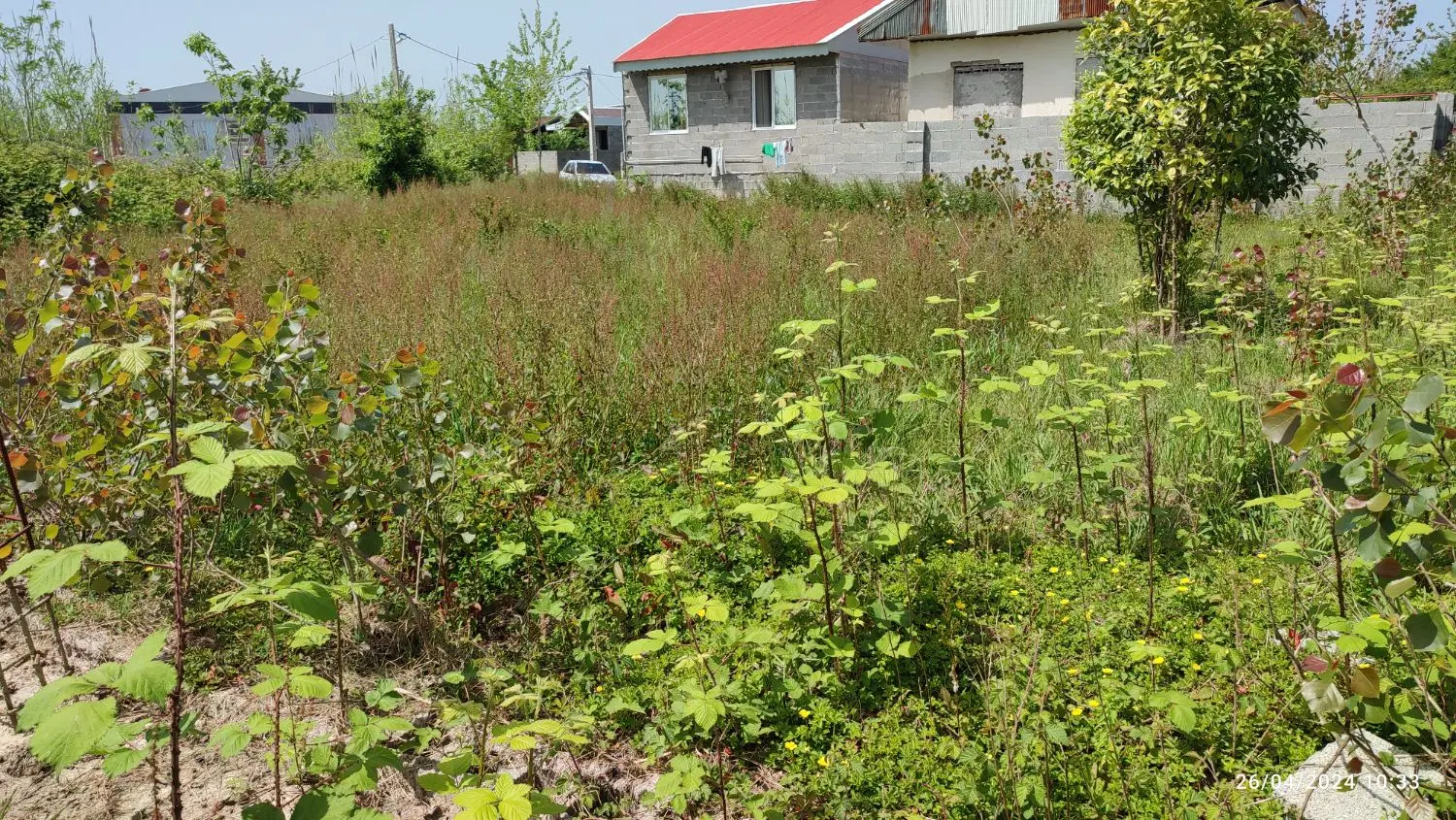 تصویر املاک 101619