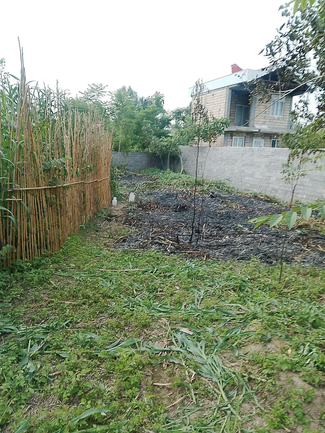 تصویر املاک 111042