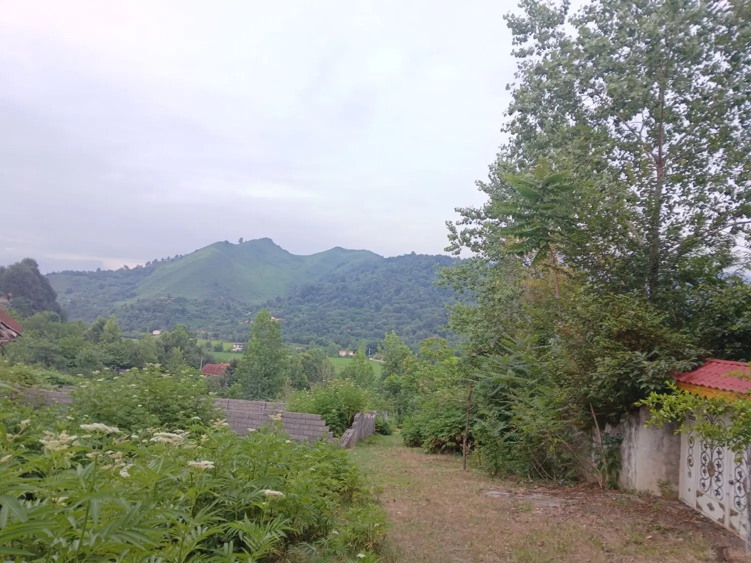 تصویر املاک 131781