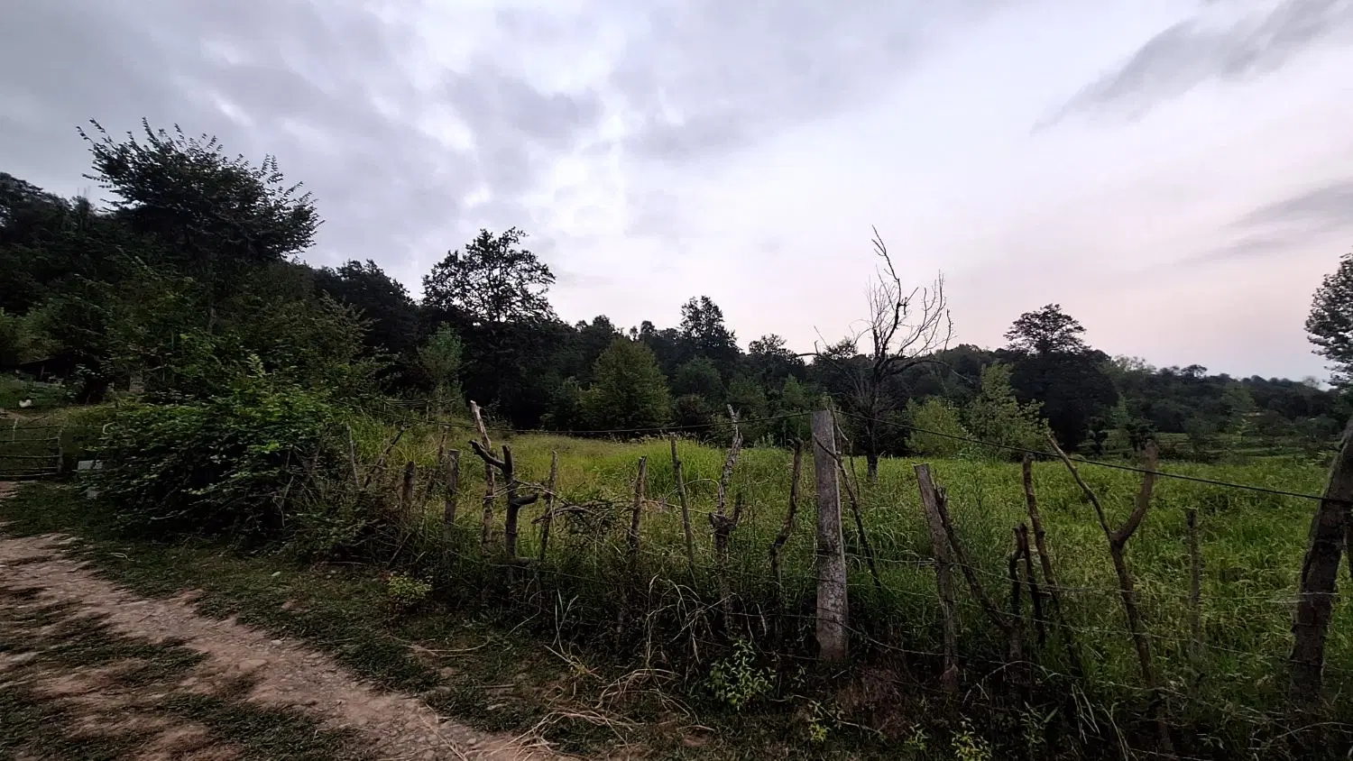 تصویر املاک 97721