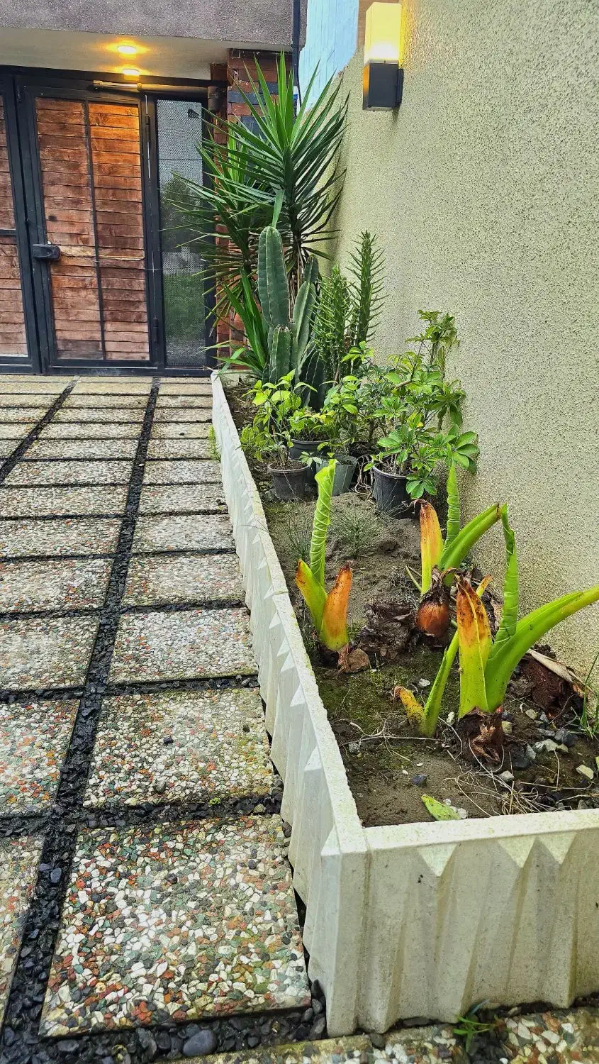 تصویر املاک 40041