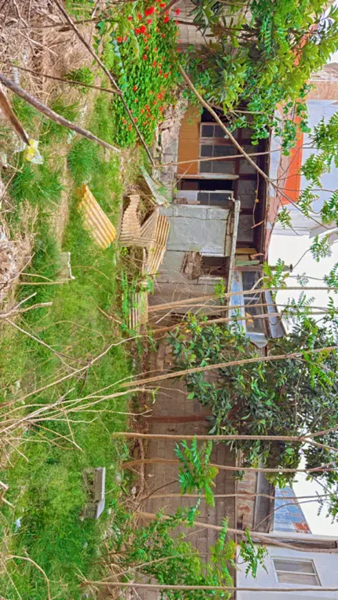 تصویر املاک 69567