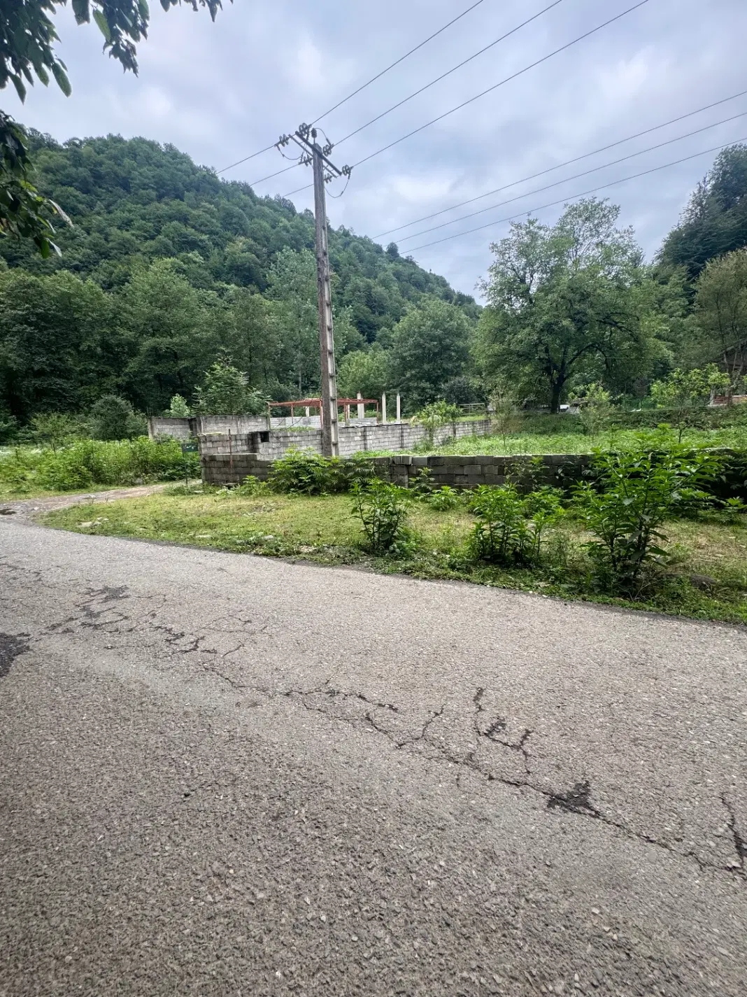 تصویر املاک 79985