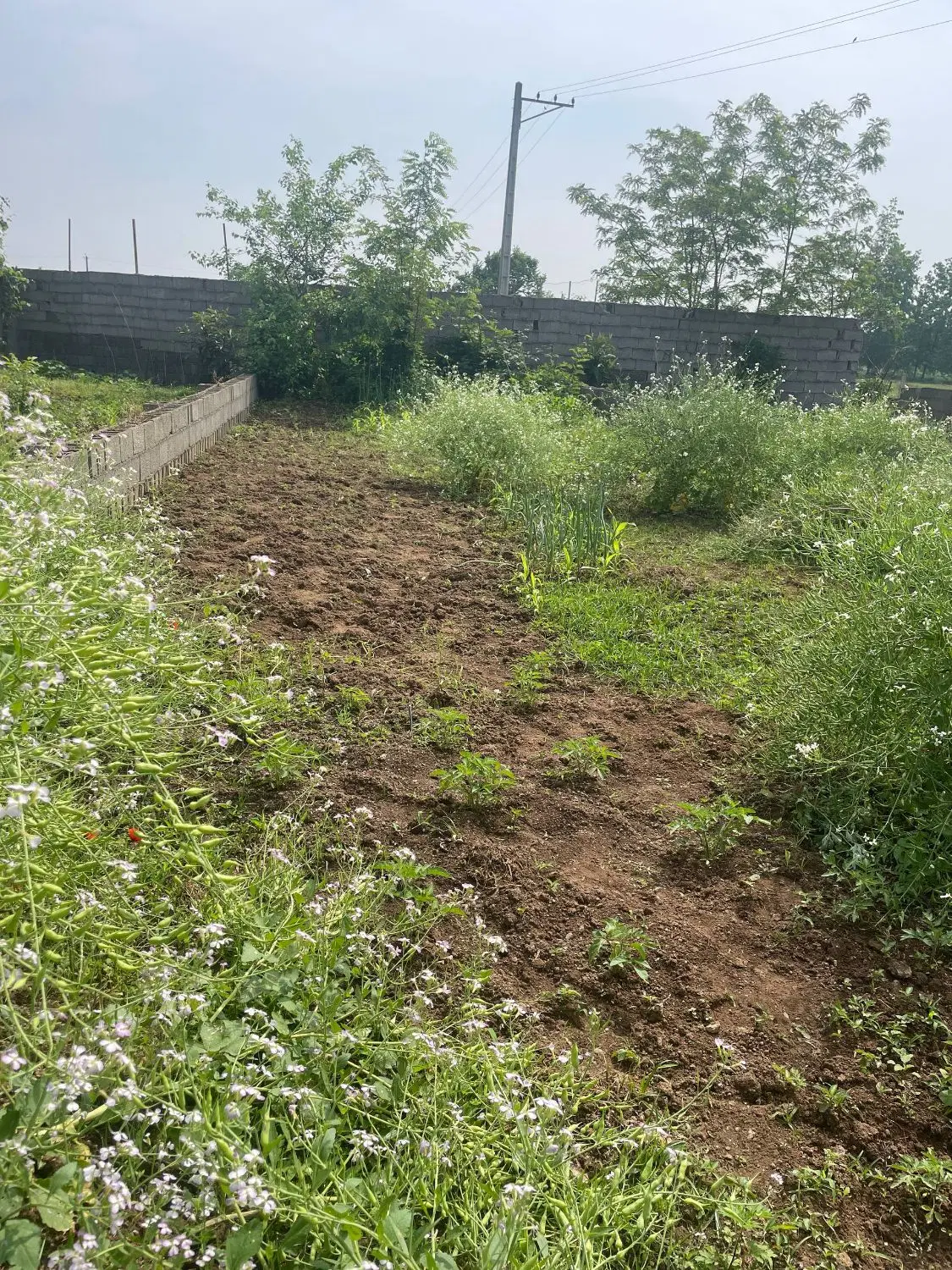 تصویر املاک 104721