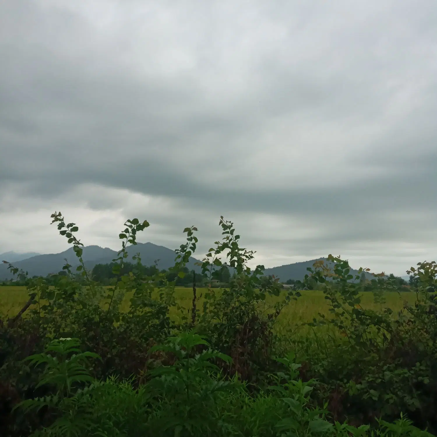تصویر املاک 95694