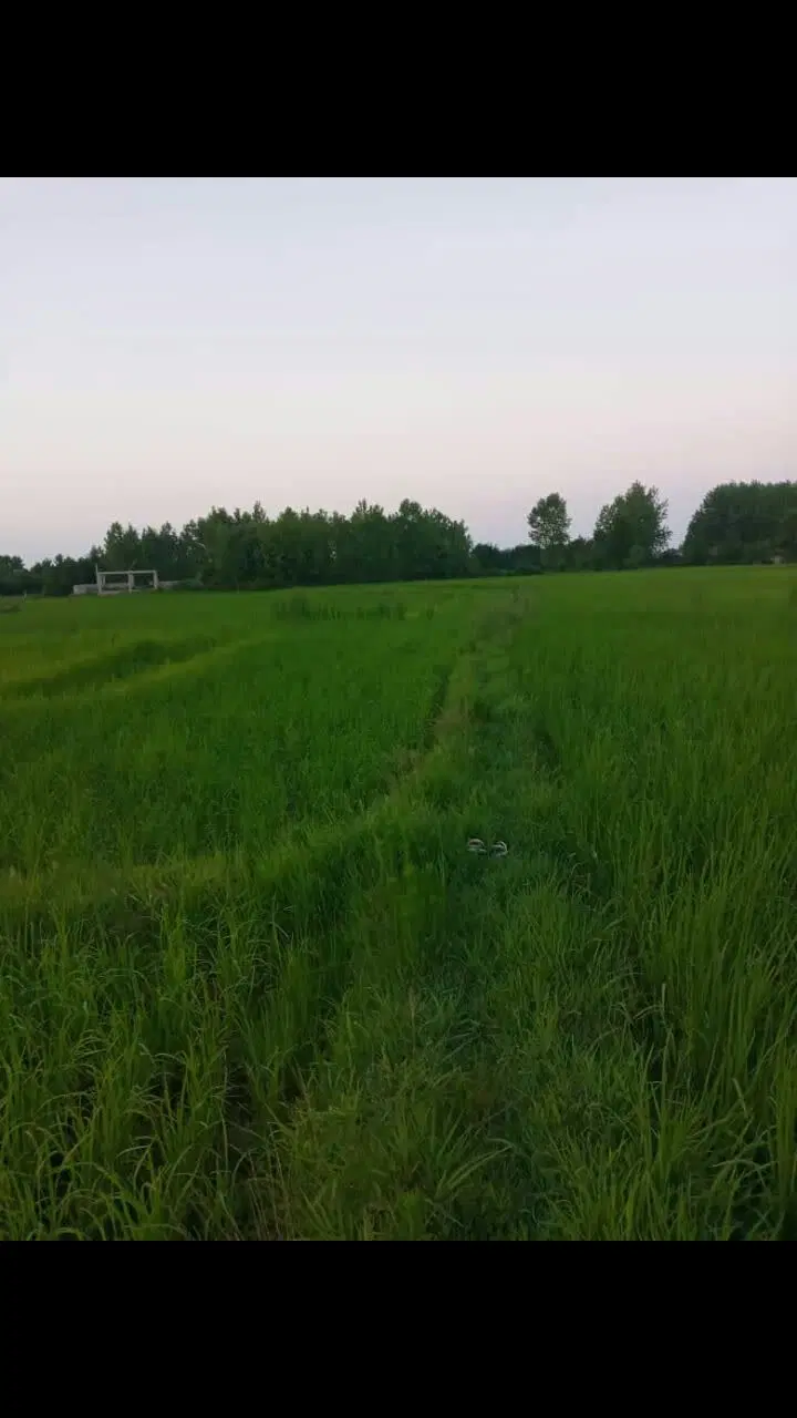 تصویر املاک 98276