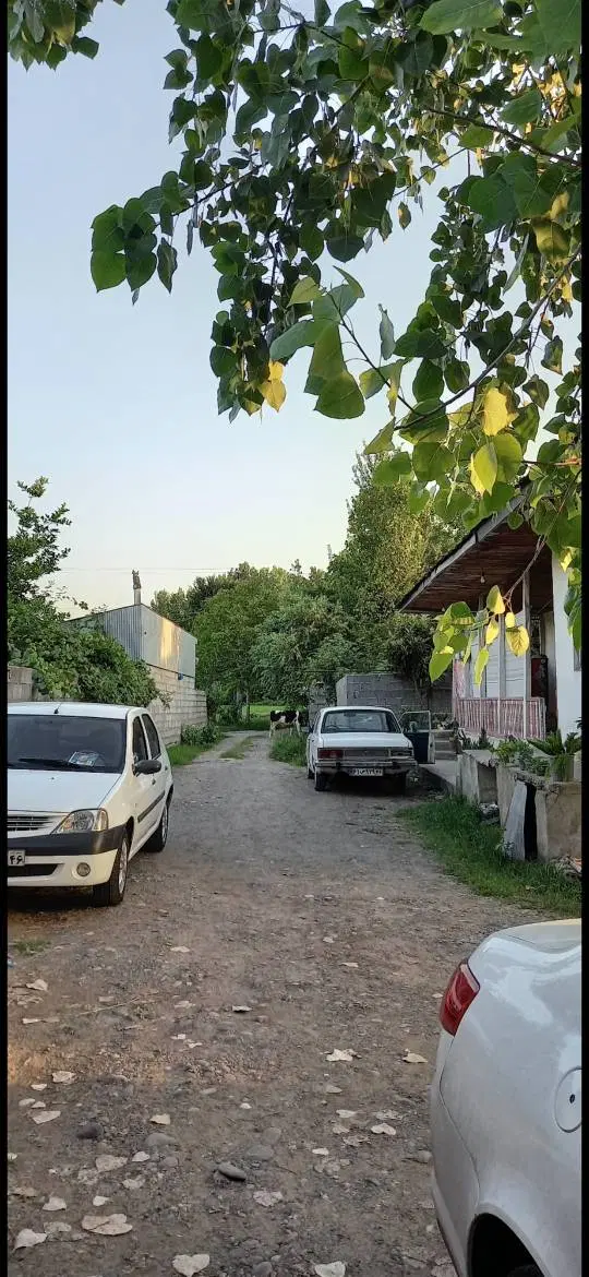 تصویر املاک 66595
