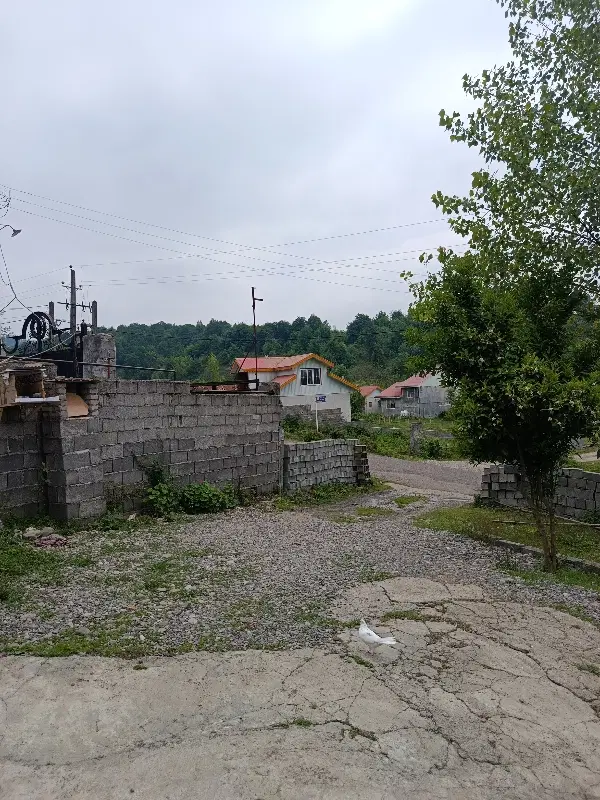 تصویر املاک 143059