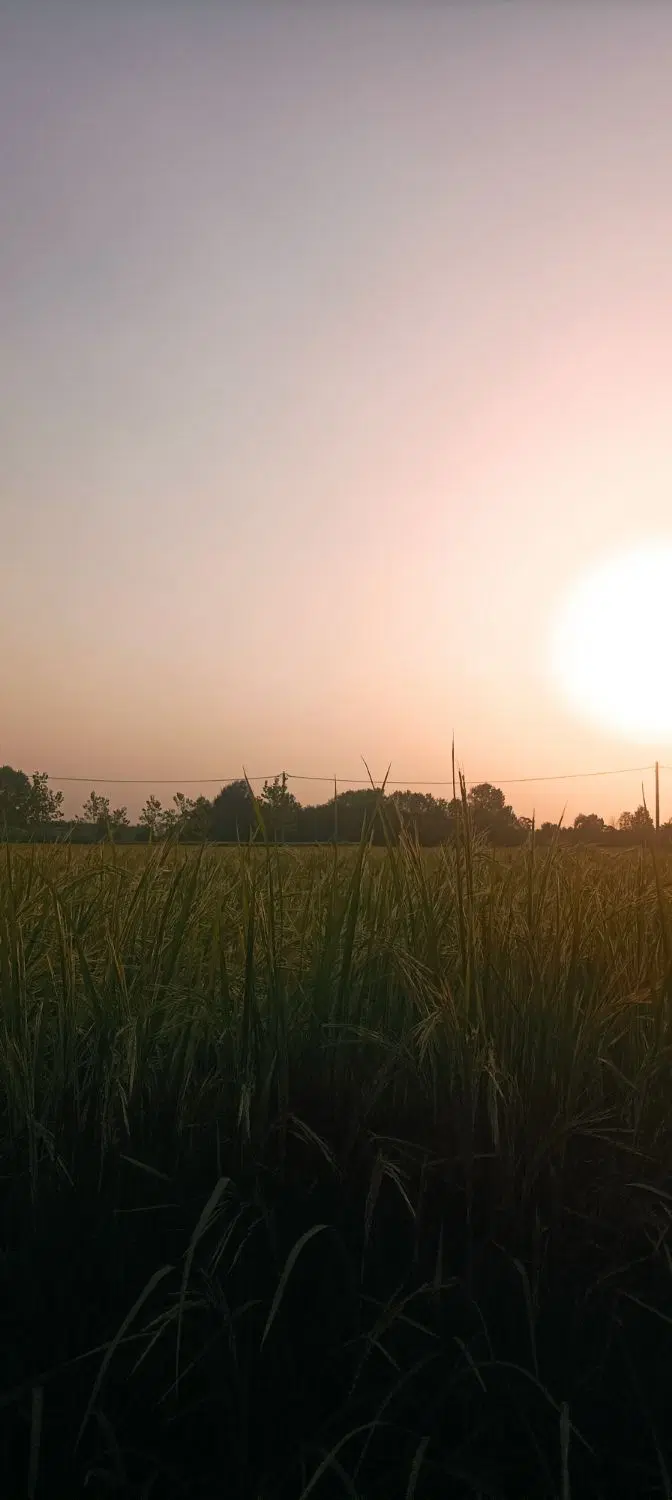 تصویر املاک 99689
