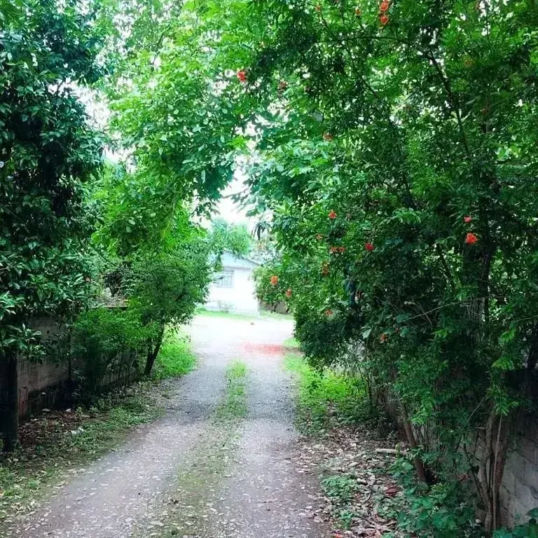 تصویر املاک 100442