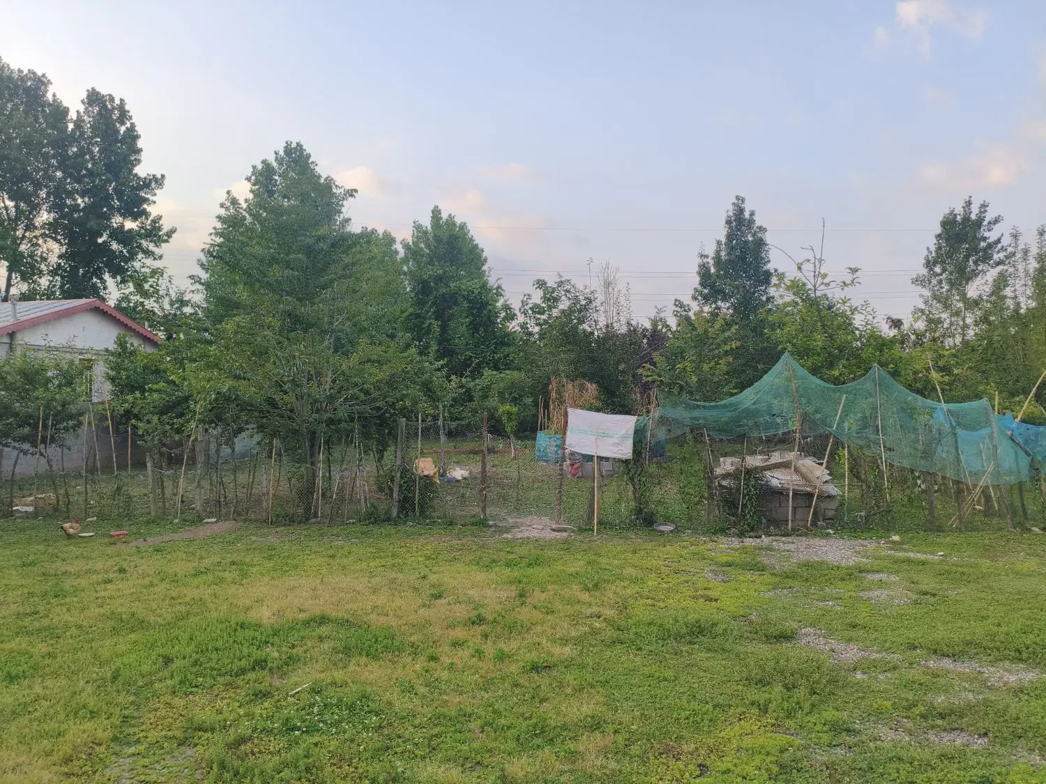 تصویر املاک 65036