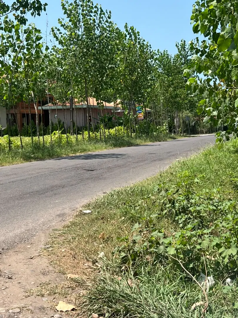 تصویر املاک 133249