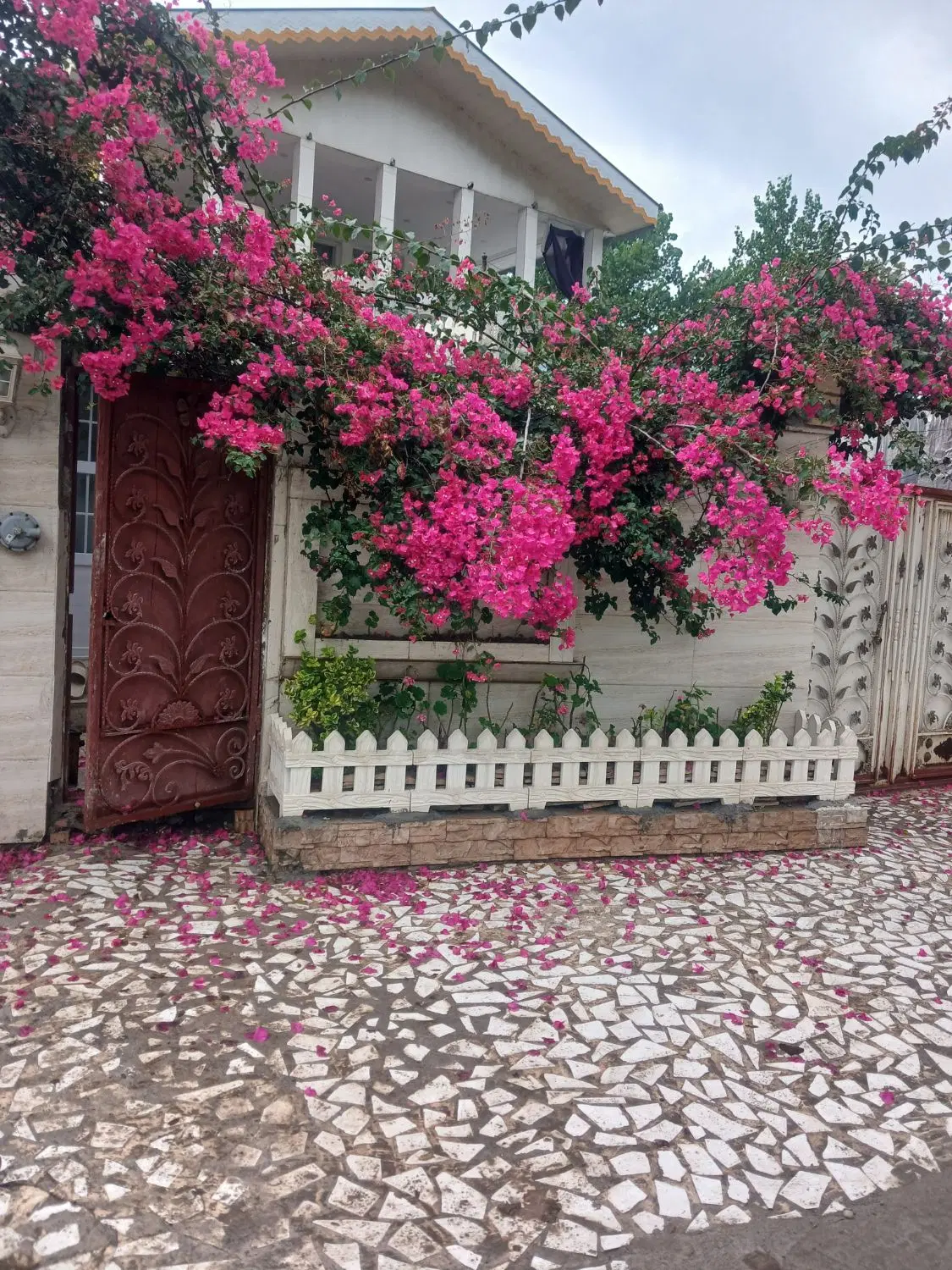 تصویر املاک 106554