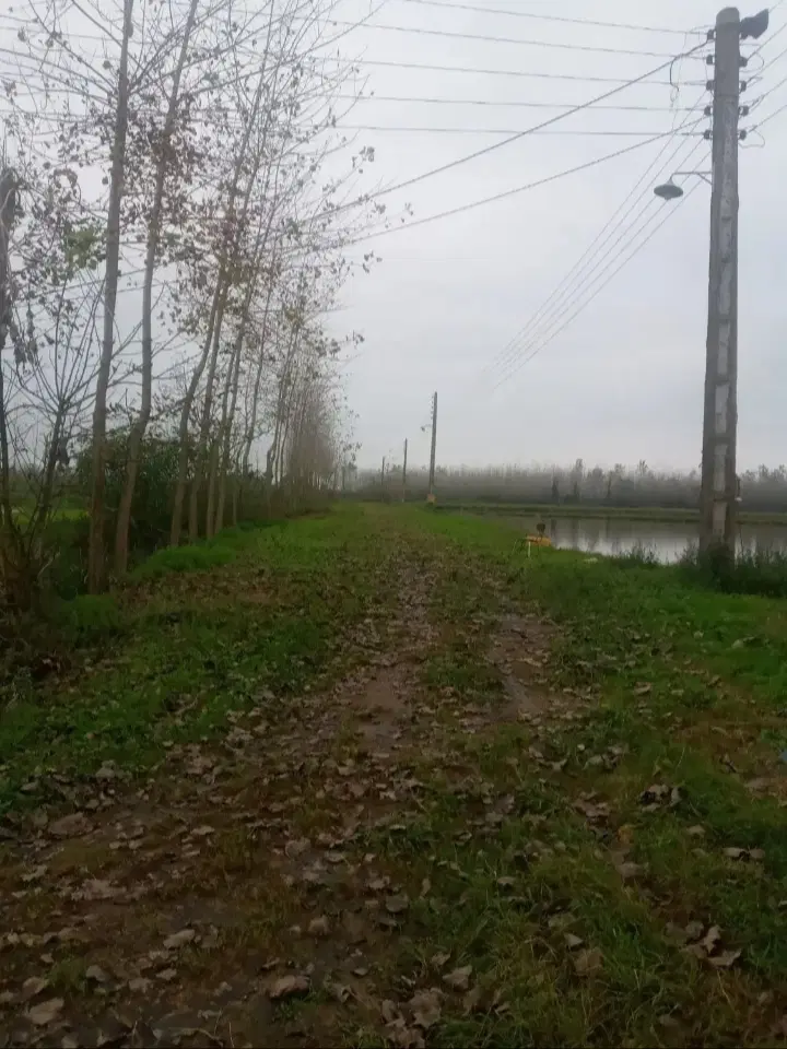 تصویر املاک 100086