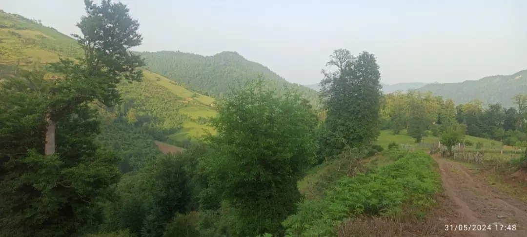 تصویر املاک 93107