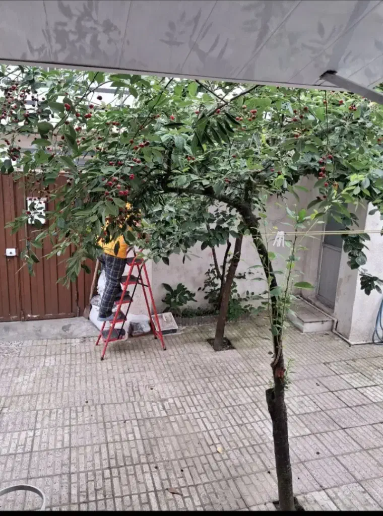 تصویر املاک 139624