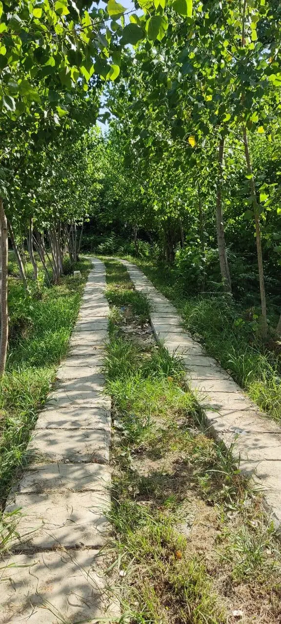 تصویر املاک 92287