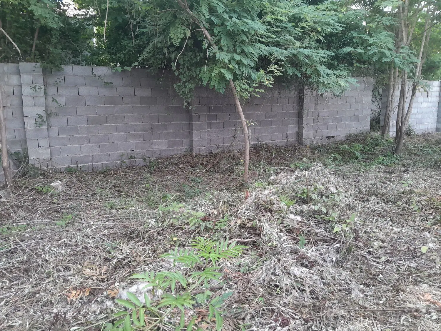 تصویر املاک 76595