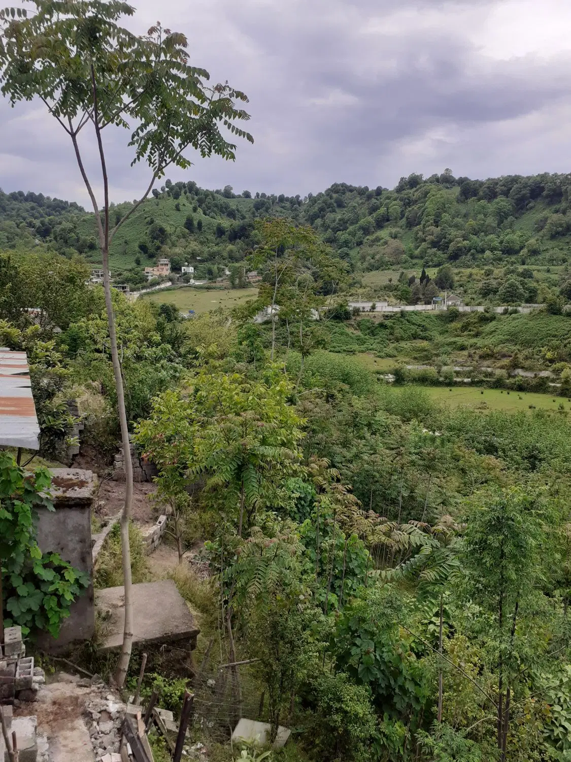 تصویر املاک 86048