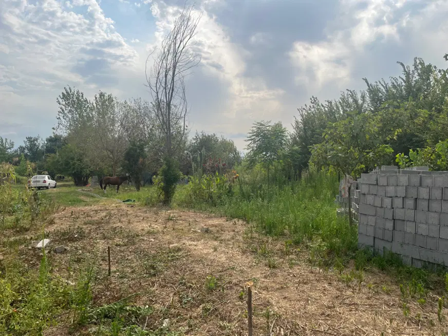 تصویر املاک 99239
