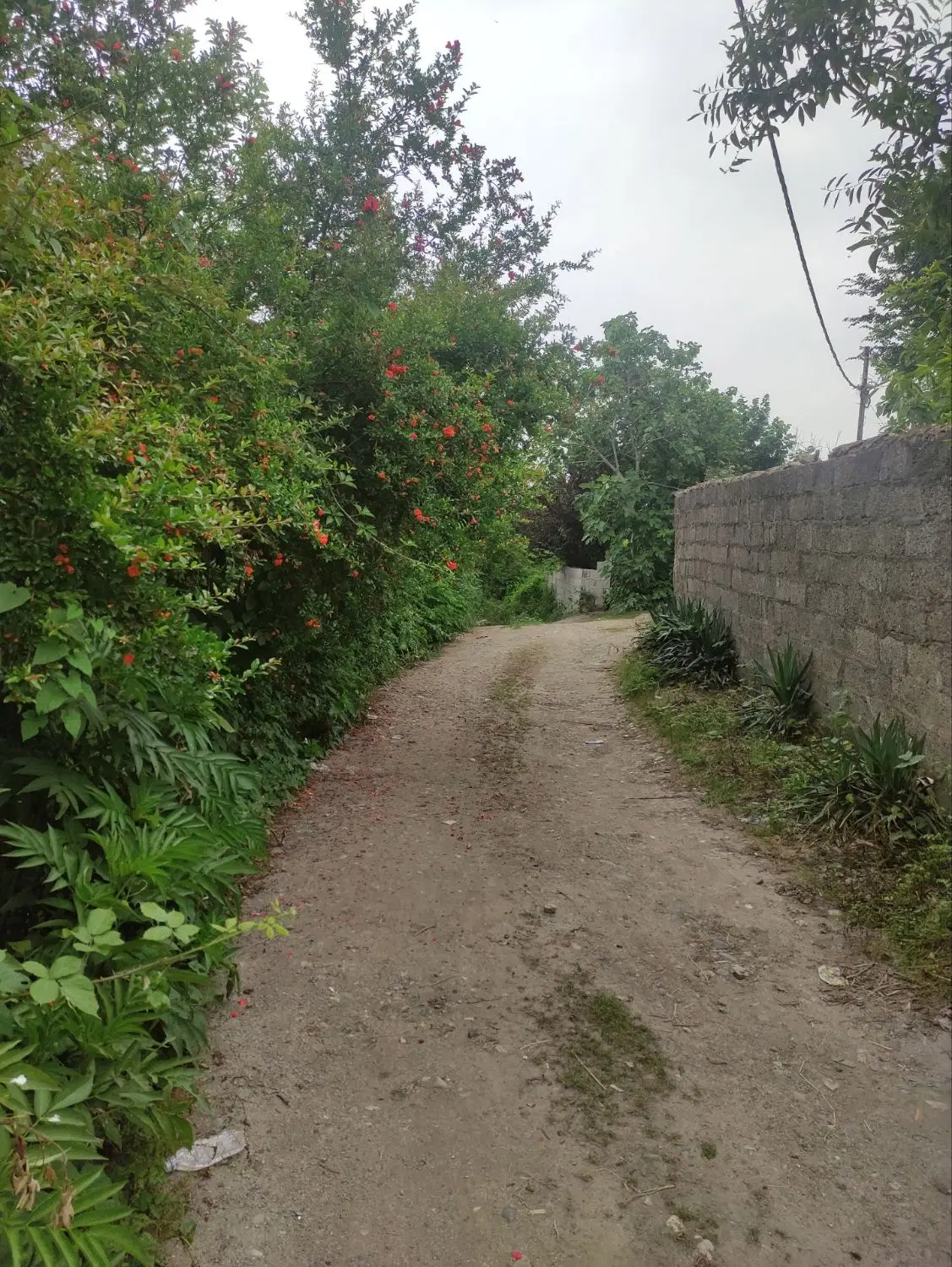 تصویر املاک 46938