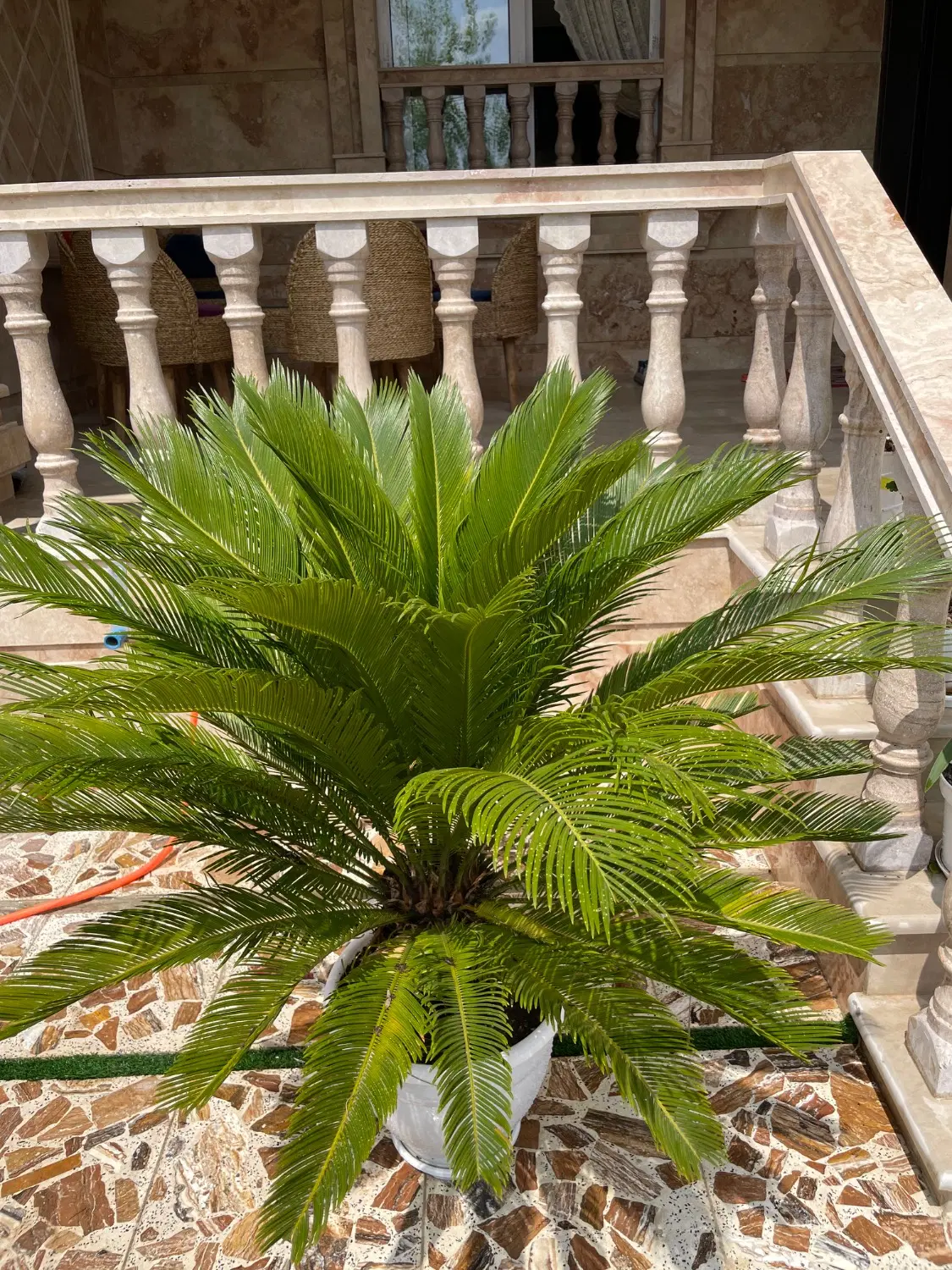 تصویر املاک 107460