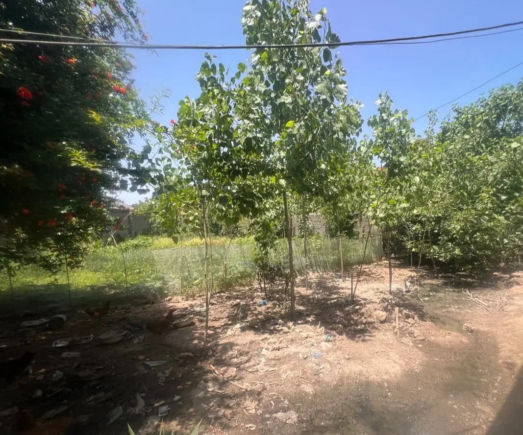 تصویر املاک 41298
