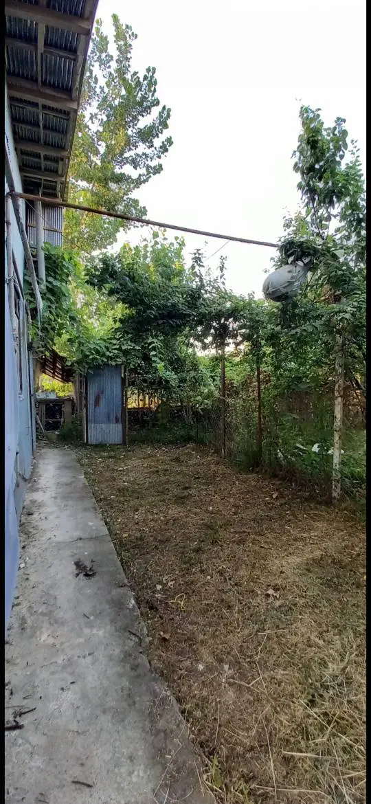 تصویر املاک 66596