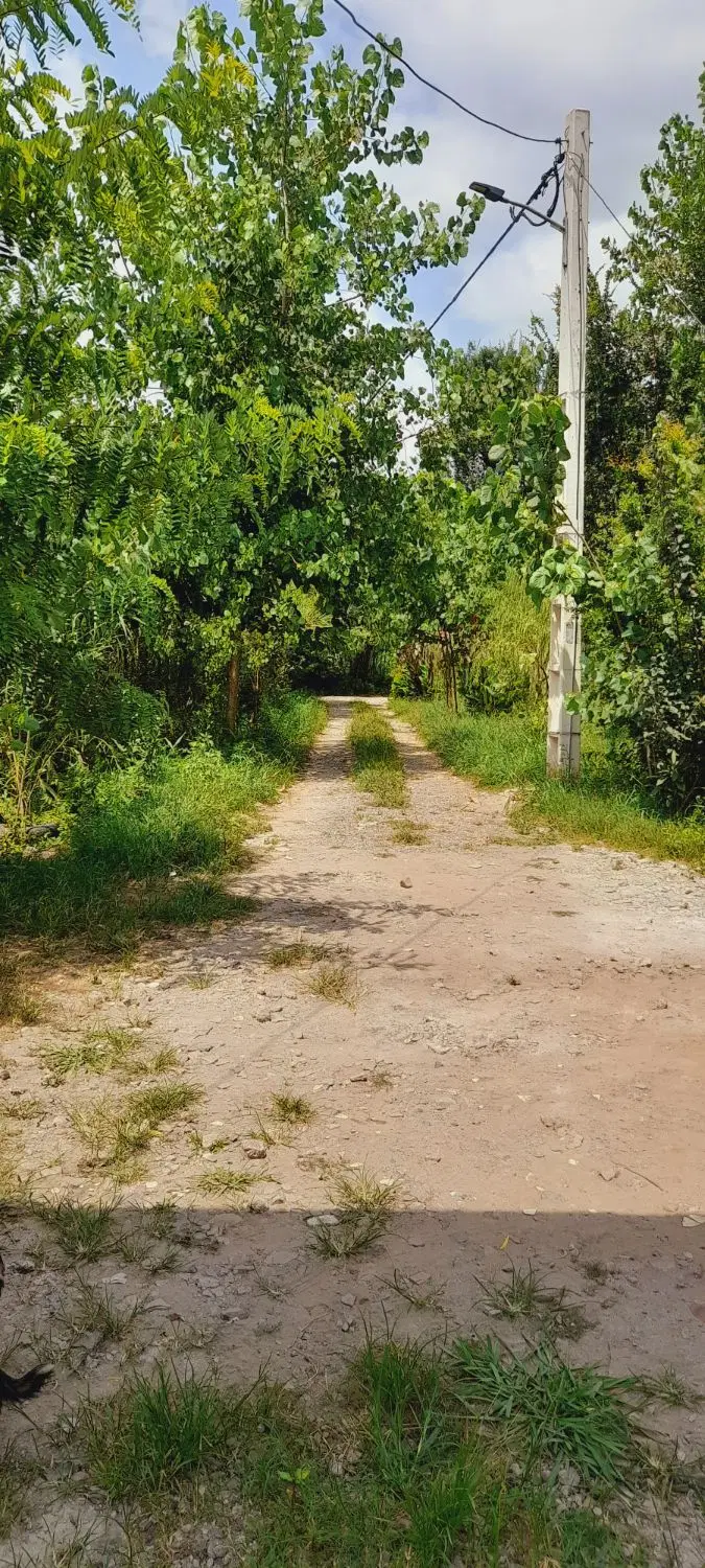 تصویر املاک 95216