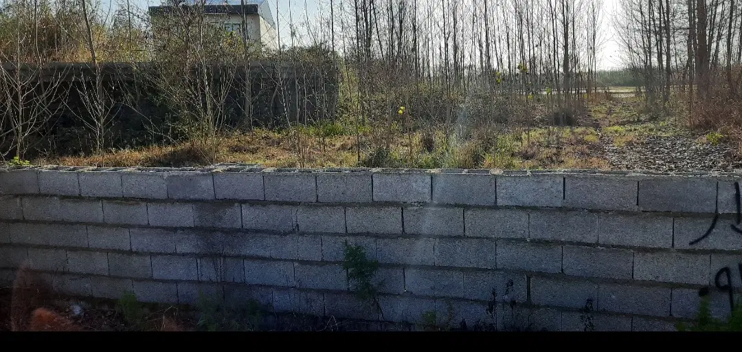 تصویر املاک 101256