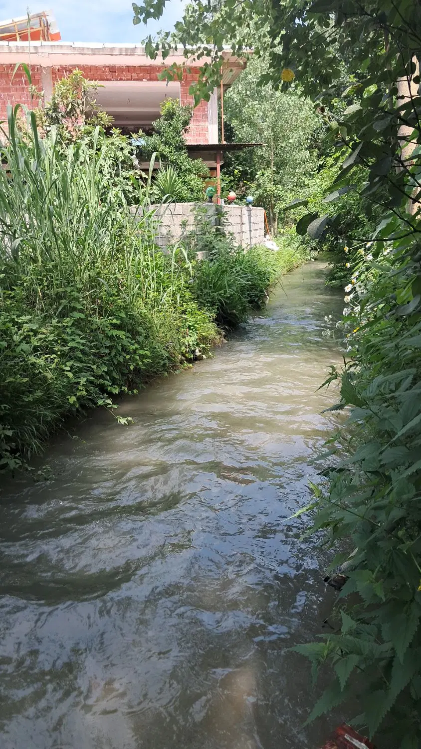 تصویر املاک 117408
