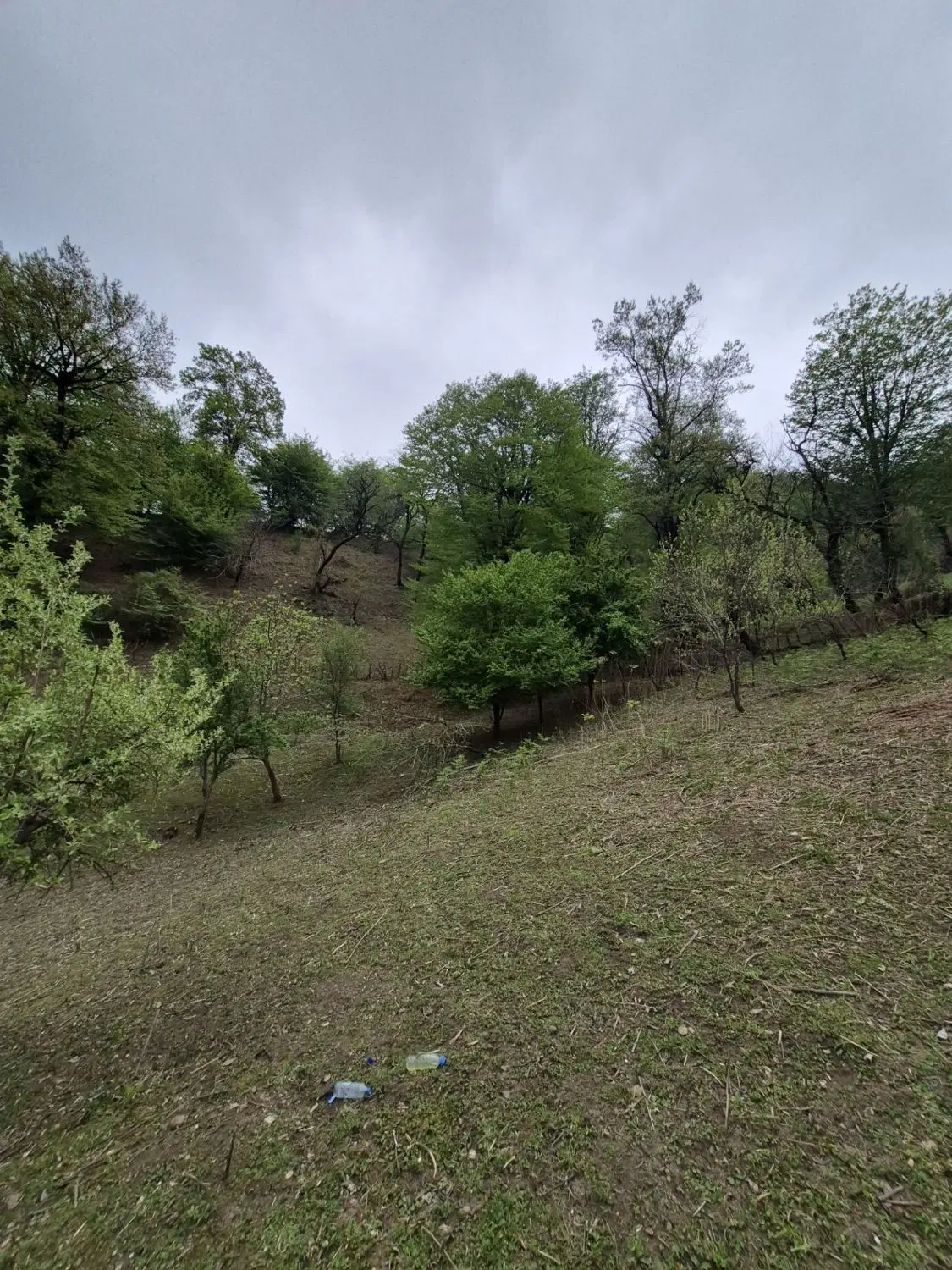 تصویر املاک 69464
