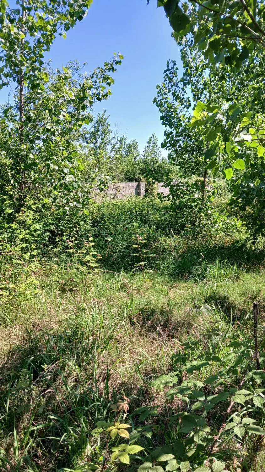تصویر املاک 61534