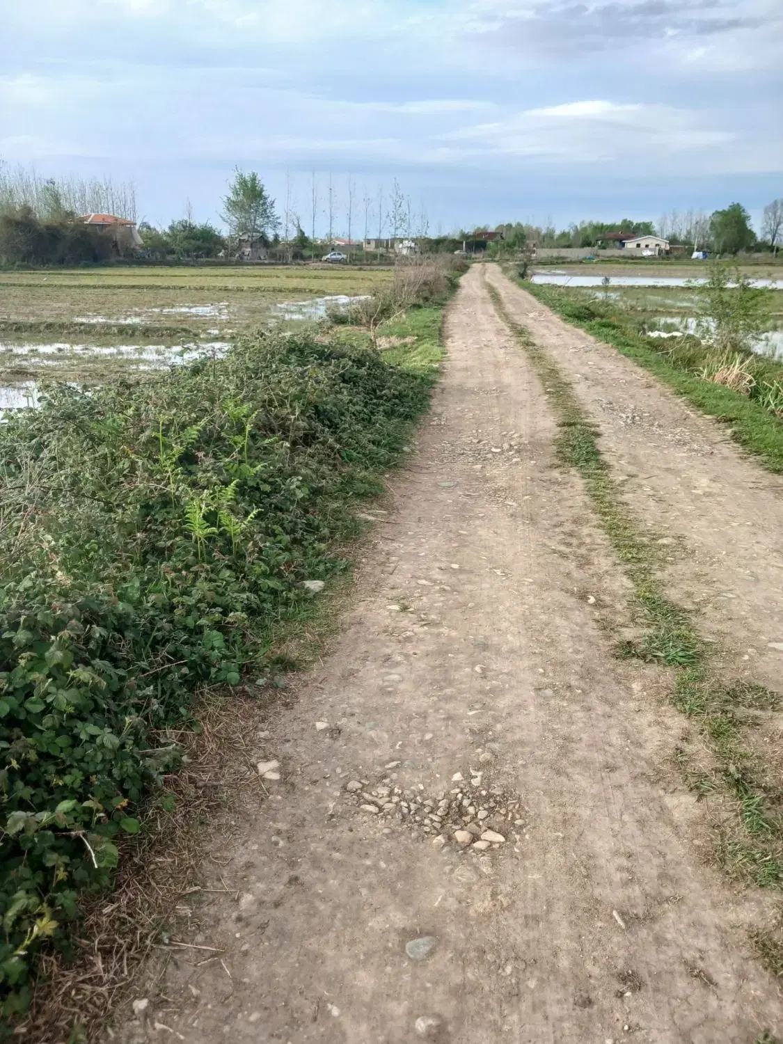 تصویر املاک 53908