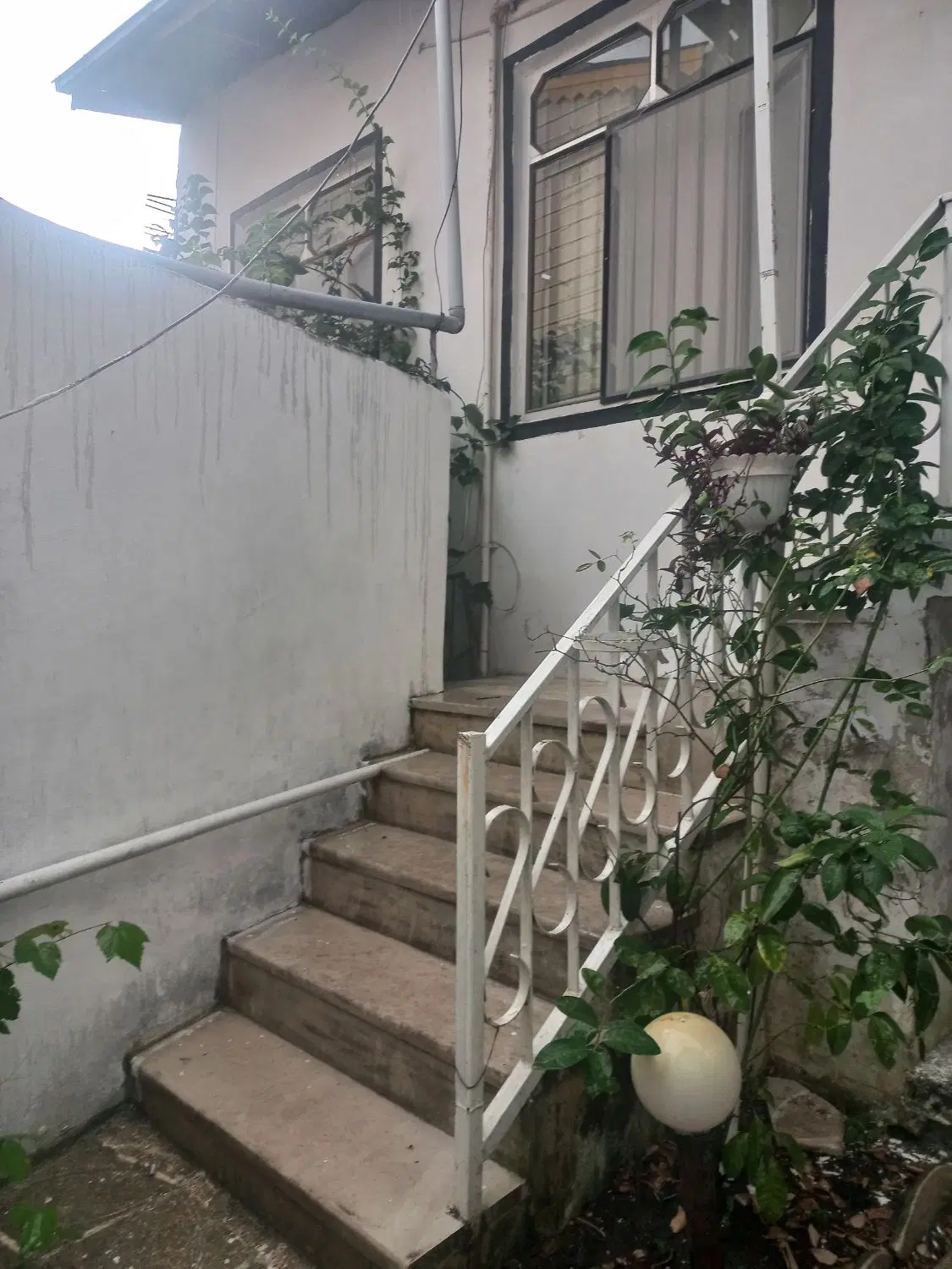 تصویر املاک 94942