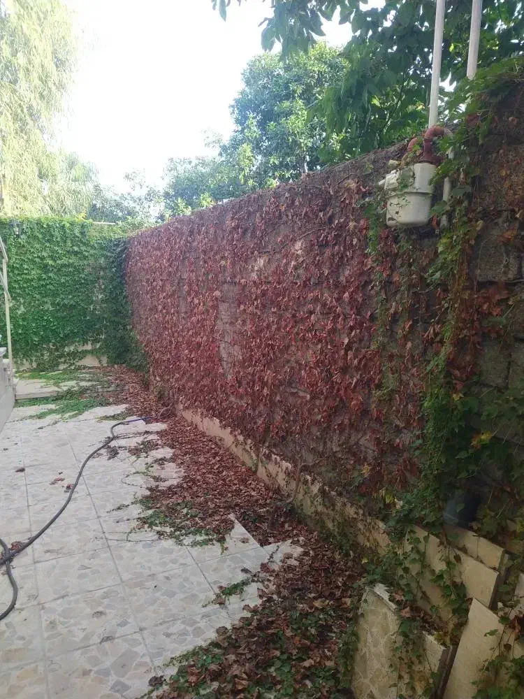 تصویر املاک 138970
