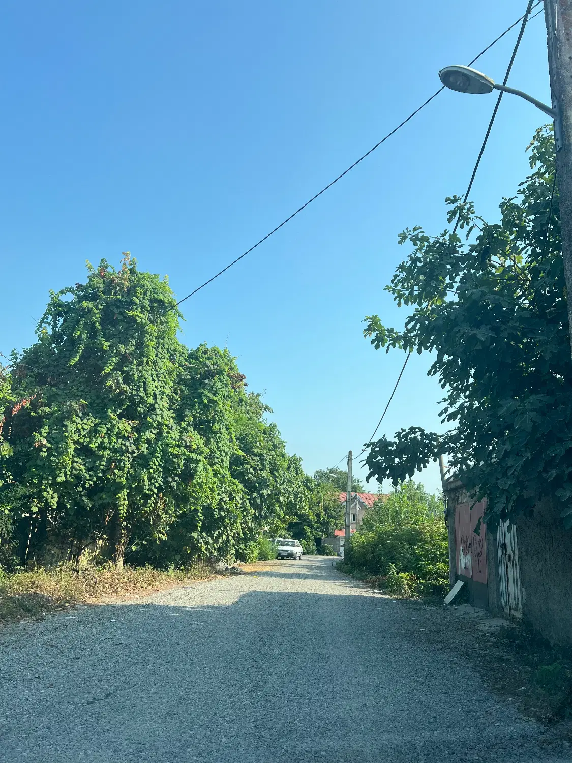 تصویر املاک 96456