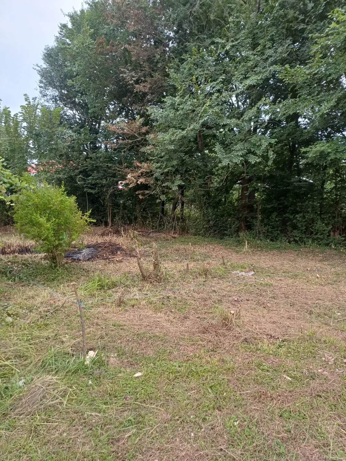 تصویر املاک 122085