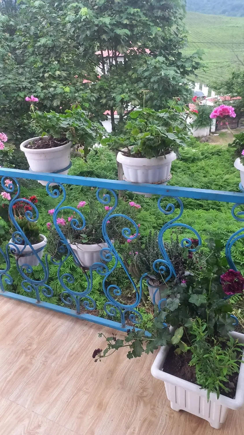 تصویر املاک 108963