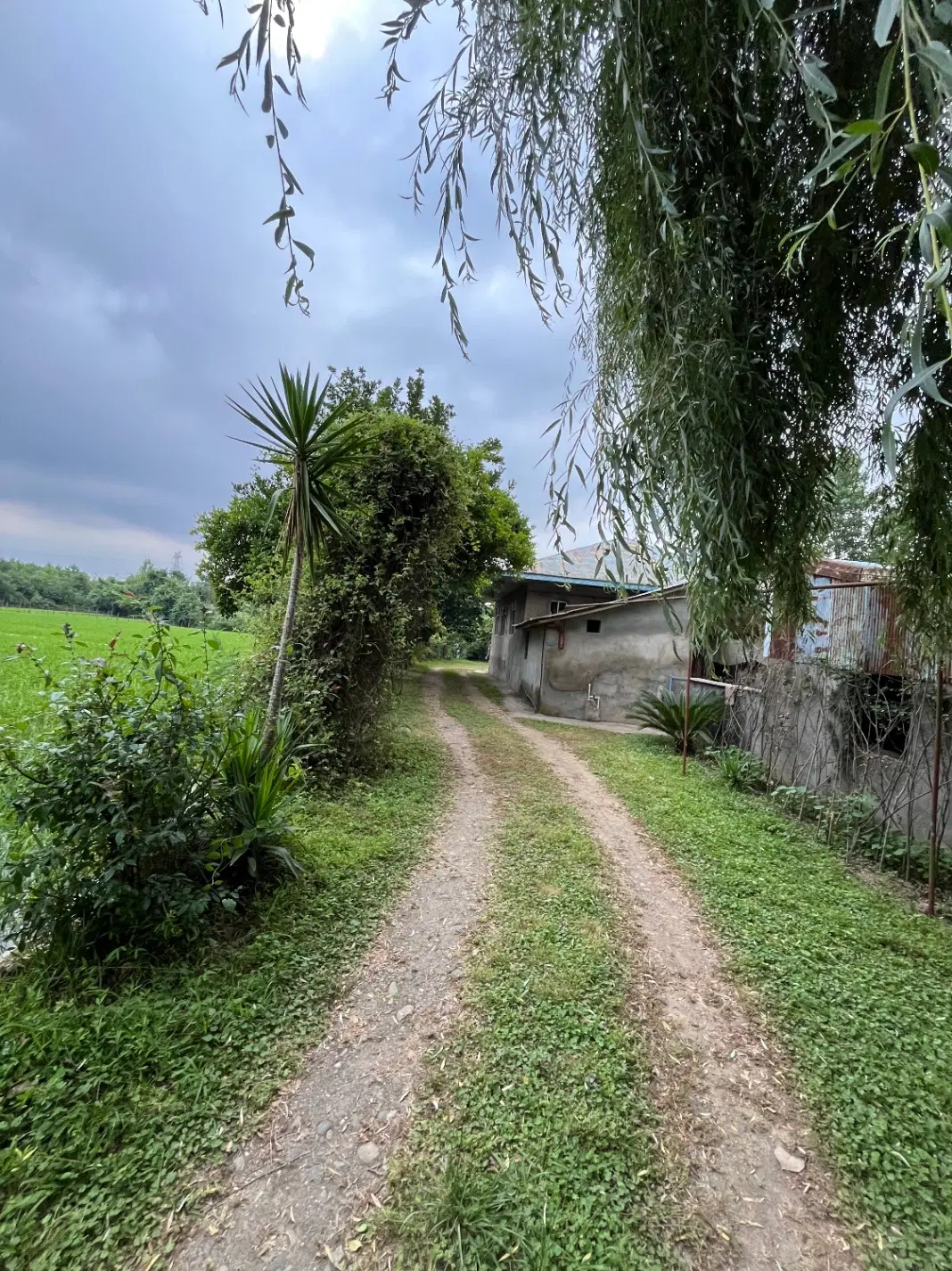 تصویر املاک 88115