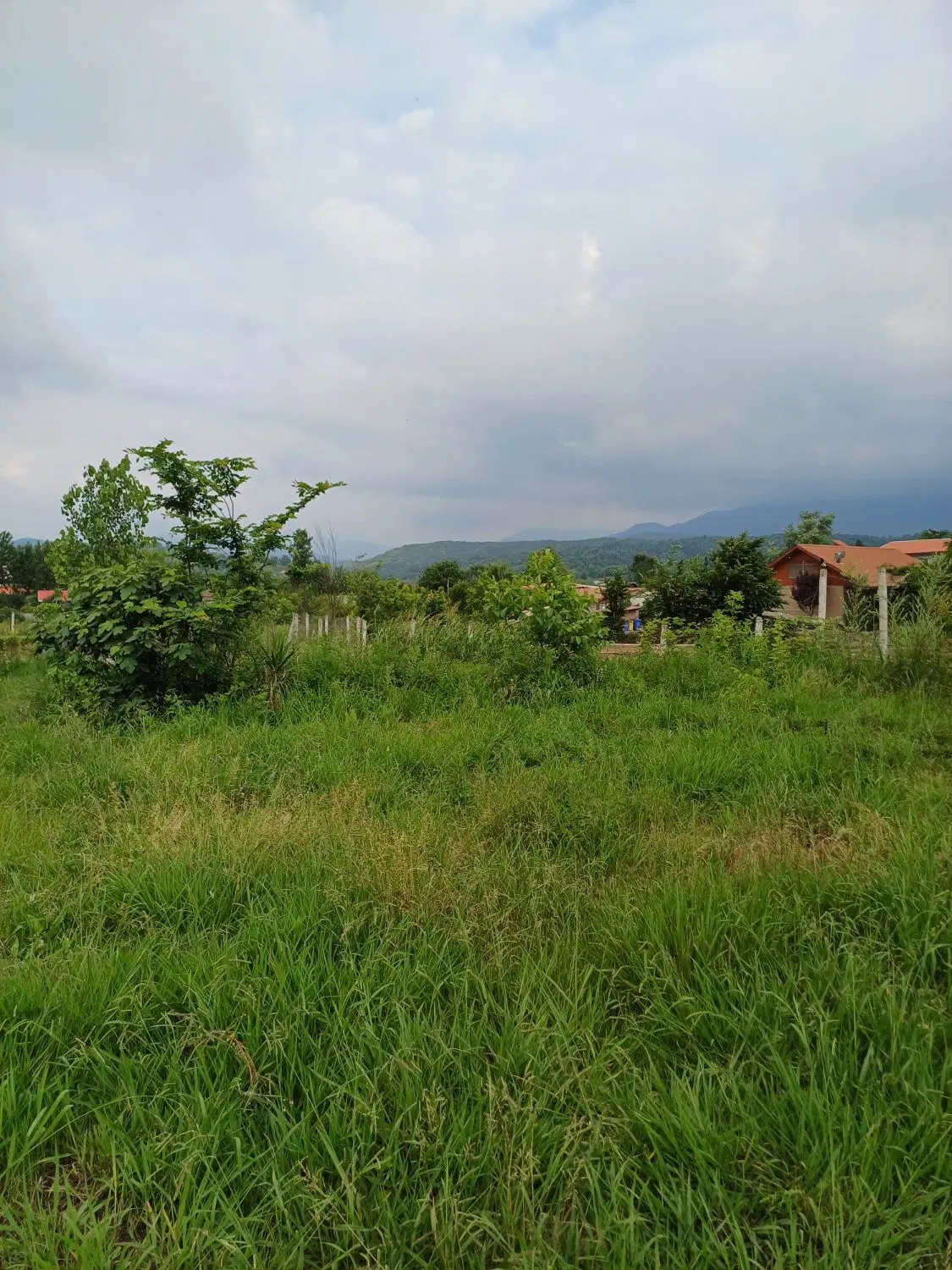 تصویر املاک 129549