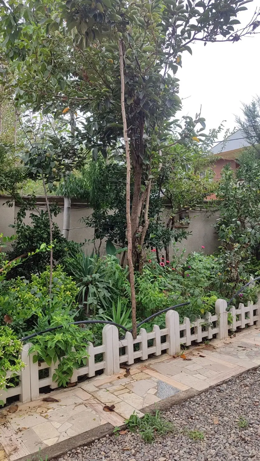 تصویر املاک 110242
