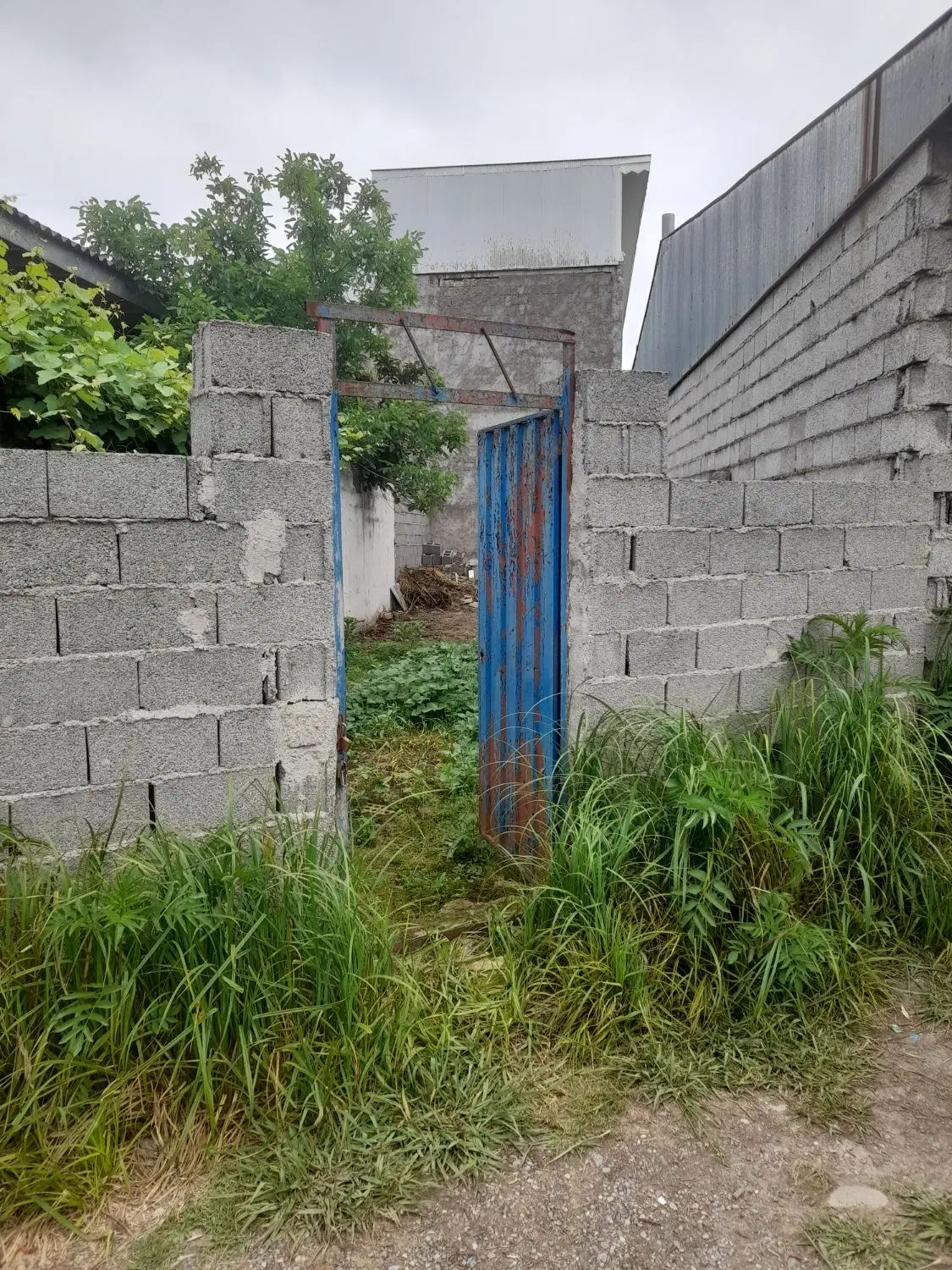 تصویر املاک 47959