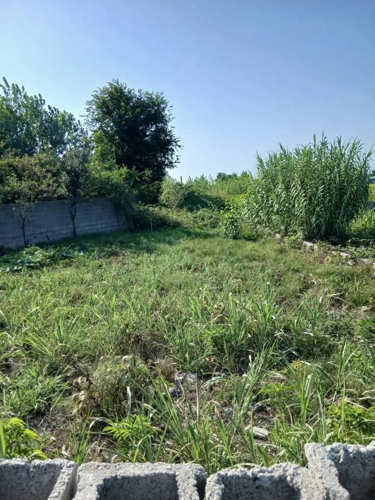 تصویر املاک 77375