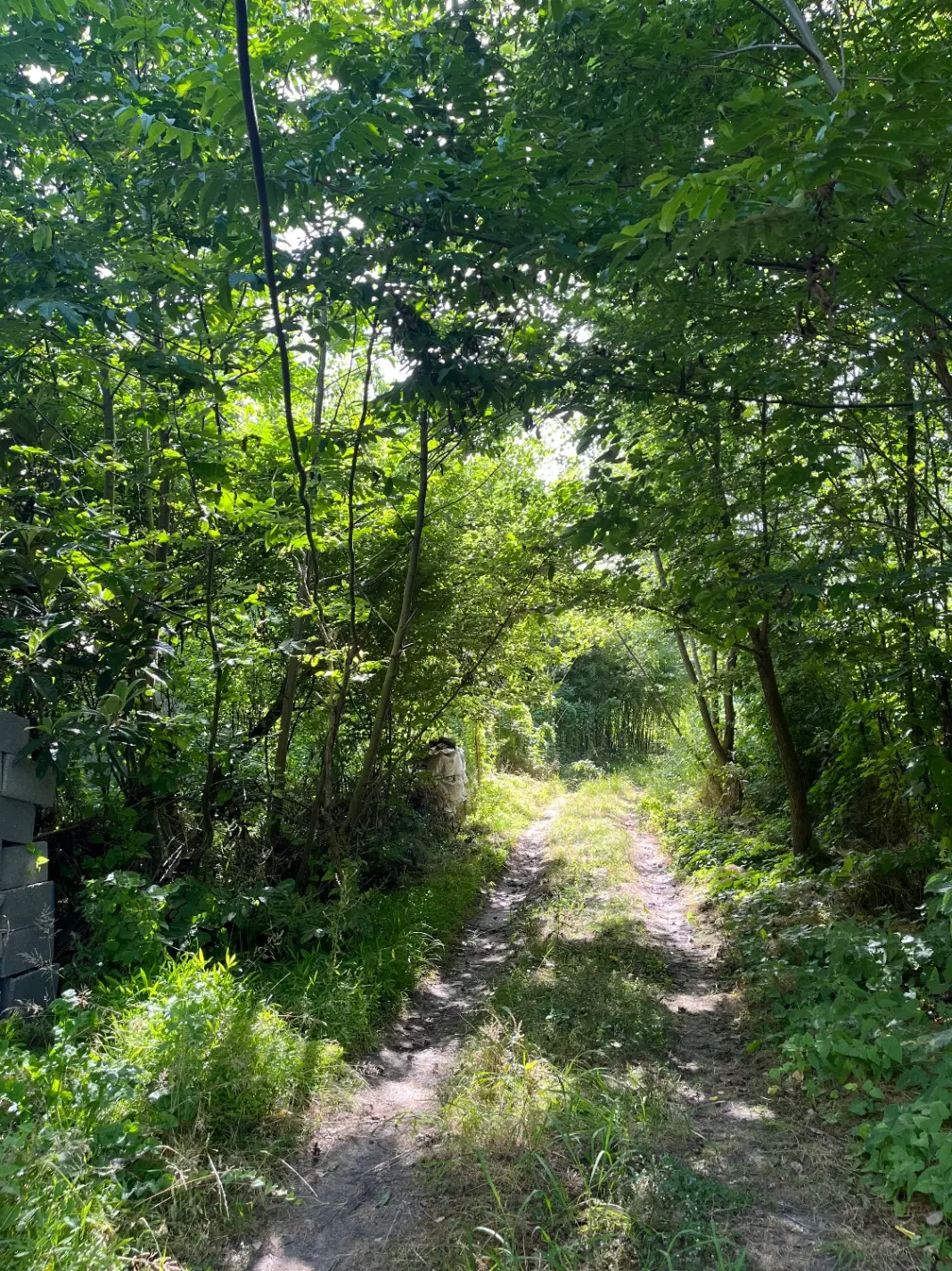 تصویر املاک 77525