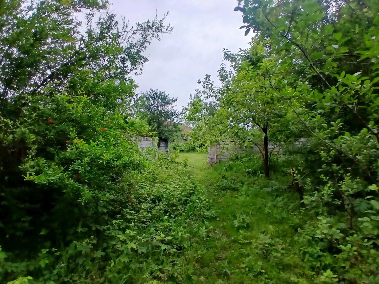 تصویر املاک 77837